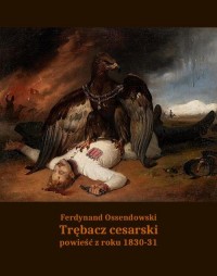 Trębacz cesarski. Powieść z roku - okłakda ebooka