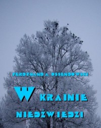 W krainie niedźwiedzi - okłakda ebooka