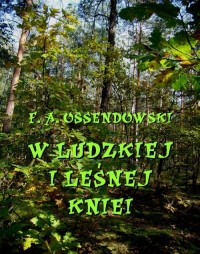 W ludzkiej i leśnej kniei - okłakda ebooka