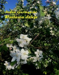 Wacława dzieje - okłakda ebooka