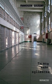 Za mną same zgliszcza - okłakda ebooka