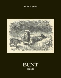 Bunt. Baśń - okłakda ebooka