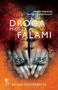 Droga między falami - okłakda ebooka