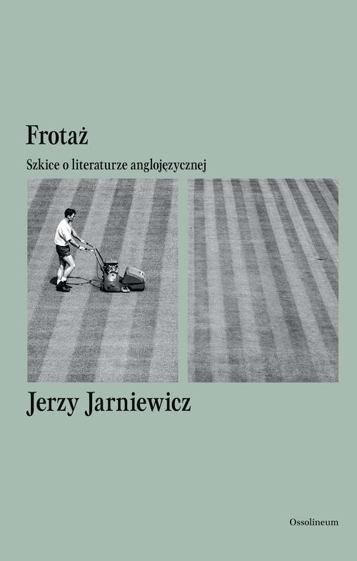Frotaż. Szkice o literaturze anglojęzycznej - okłakda ebooka