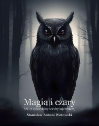 Magia i czary. Szkice z dziedziny - okłakda ebooka