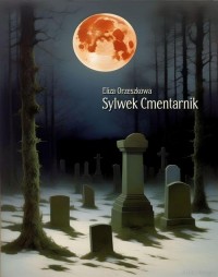 Sylwek Cmentarnik - okłakda ebooka