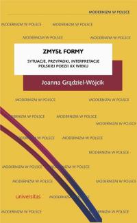 Zmysł formy. Sytuacje, przypadki, - okłakda ebooka
