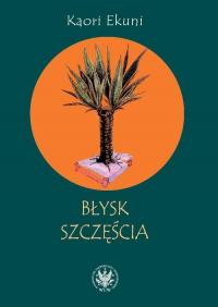 Błysk szczęścia - okłakda ebooka