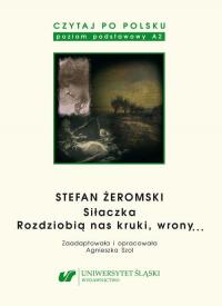 Czytaj po polsku. T. 4: Stefan - okłakda ebooka