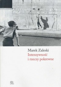 Intensywność i rzeczy pokrewne - okłakda ebooka