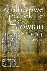 Kulturowe projekcje Słowian w tradycji - okłakda ebooka