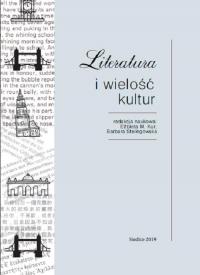 Literatura i wielość kultur - okłakda ebooka