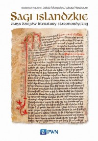 Sagi islandzkie. Zarys dziejów - okłakda ebooka