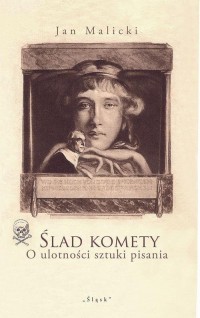 Ślad komety. O ulotności sztuki - okłakda ebooka