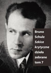 Szkice Krytyczne - okłakda ebooka
