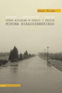 Sztuka Percepcja Język. Sfera wizualna - okłakda ebooka