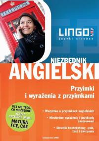 Angielski. Przyimki i wyrażenia - okłakda ebooka