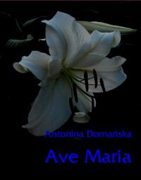 Ave Maria - okłakda ebooka