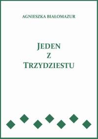 Jeden z trzydziestu - okłakda ebooka