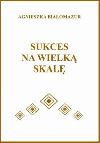 Sukces na wielką skalę - okłakda ebooka