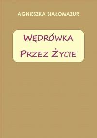Wędrówka przez życie - okłakda ebooka