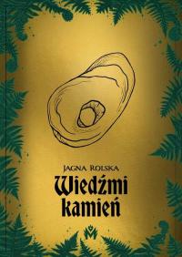 Wiedźmi kamień - okłakda ebooka