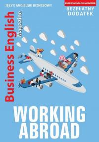 Working Abroad - okłakda ebooka