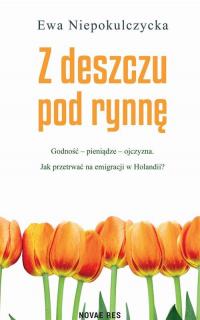 Z deszczu pod rynnę - okłakda ebooka