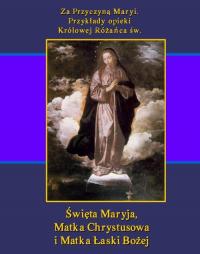 Za Przyczyną Maryi. Przykłady opieki - okłakda ebooka