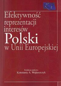 Efektywność reprezentacji interesów - okłakda ebooka