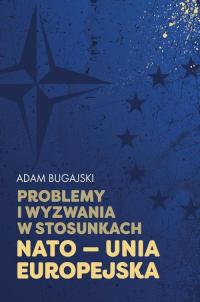 Problemy i wyzwania w stosunkach - okłakda ebooka