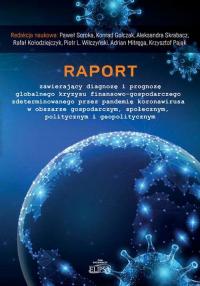 Raport zawierający diagnozę i prognozę - okłakda ebooka