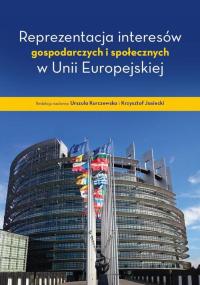 Reprezentacja interesów gospodarczych - okłakda ebooka