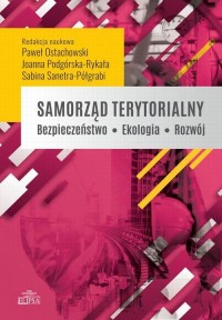Samorząd terytorialny. Bezpieczeństwo - okłakda ebooka