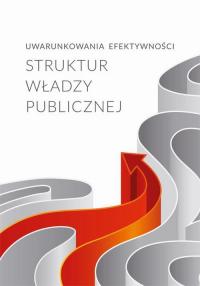 Uwarunkowania efektywności struktur - okłakda ebooka