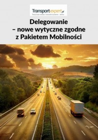 Delegowanie – nowe wytyczne zgodne - okłakda ebooka