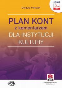 Plan kont z komentarzem dla instytucji - okłakda ebooka