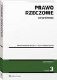 Prawo rzeczowe. Zarys wykładu - okłakda ebooka