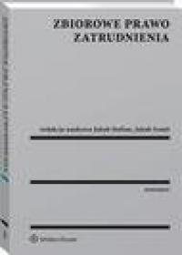 Zbiorowe prawo zatrudnienia - okłakda ebooka