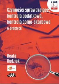Czynności sprawdzające, kontrola - okłakda ebooka