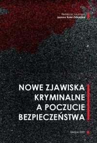 Nowe zjawiska kryminalne a poczucie - okłakda ebooka