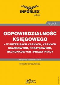 Odpowiedzialność księgowego - w - okłakda ebooka