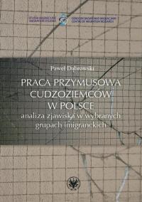 Praca przymusowa cudzoziemców w - okłakda ebooka