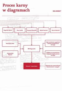 Proces karny w diagramach 2021 - okłakda ebooka