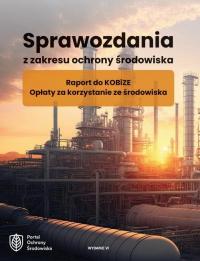 Sprawozdania z zakresu ochrony - okłakda ebooka