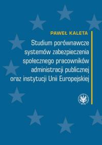 Studium porównawcze systemów zabezpieczenia - okłakda ebooka