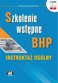 Szkolenie wstępne bhp. Instruktaż - okłakda ebooka