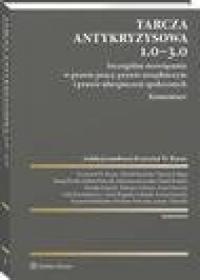 Tarcza antykryzysowa 1.0 - 3.0. - okłakda ebooka