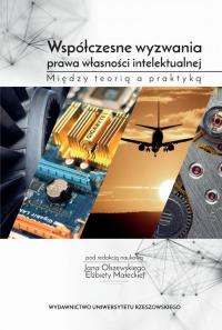 Współczesne wyzwania prawa własności - okłakda ebooka