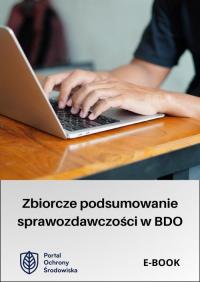 Zbiorcze podsumowanie sprawozdawczości - okłakda ebooka